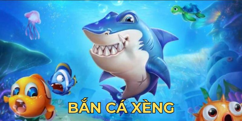 ban-ca-xeng