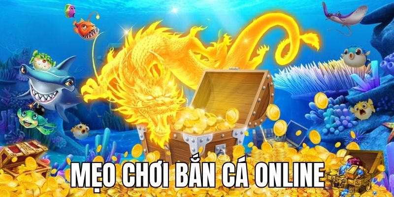 meo-choi-ban-ca-online-anh-dai-dien