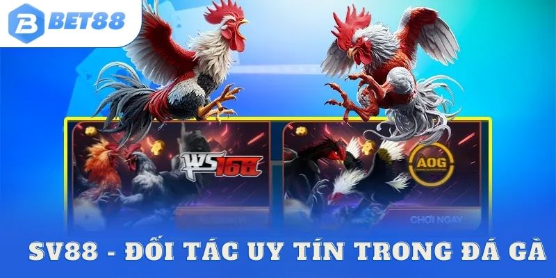 SV88 - Đối tác đáng lựa chọn trong hành trình chọi kê